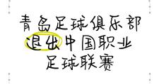开云体育APP下载-包含球员因伤退出赛季，球队疲于应对人员调整的词条