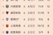 开云体育官网-上海申花客场艰难取胜，排名上升的简单介绍