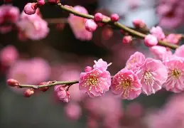 包含梅因茨客场胜出！逆风翻盘取得宝贵三分的词条