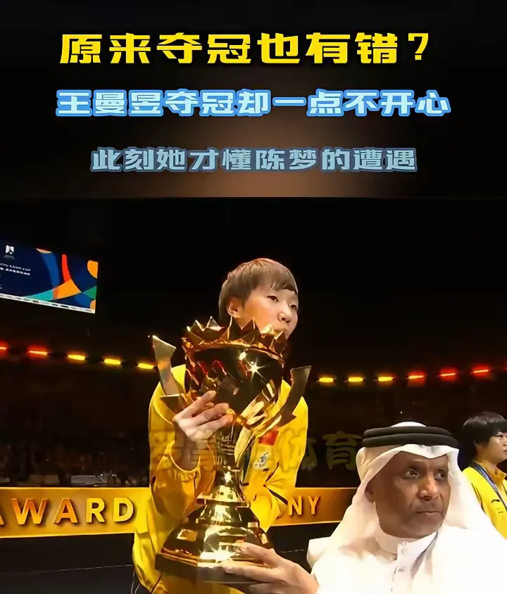 包含日本羽毛球队逆转印尼羽毛球队，马琳高光表现的词条