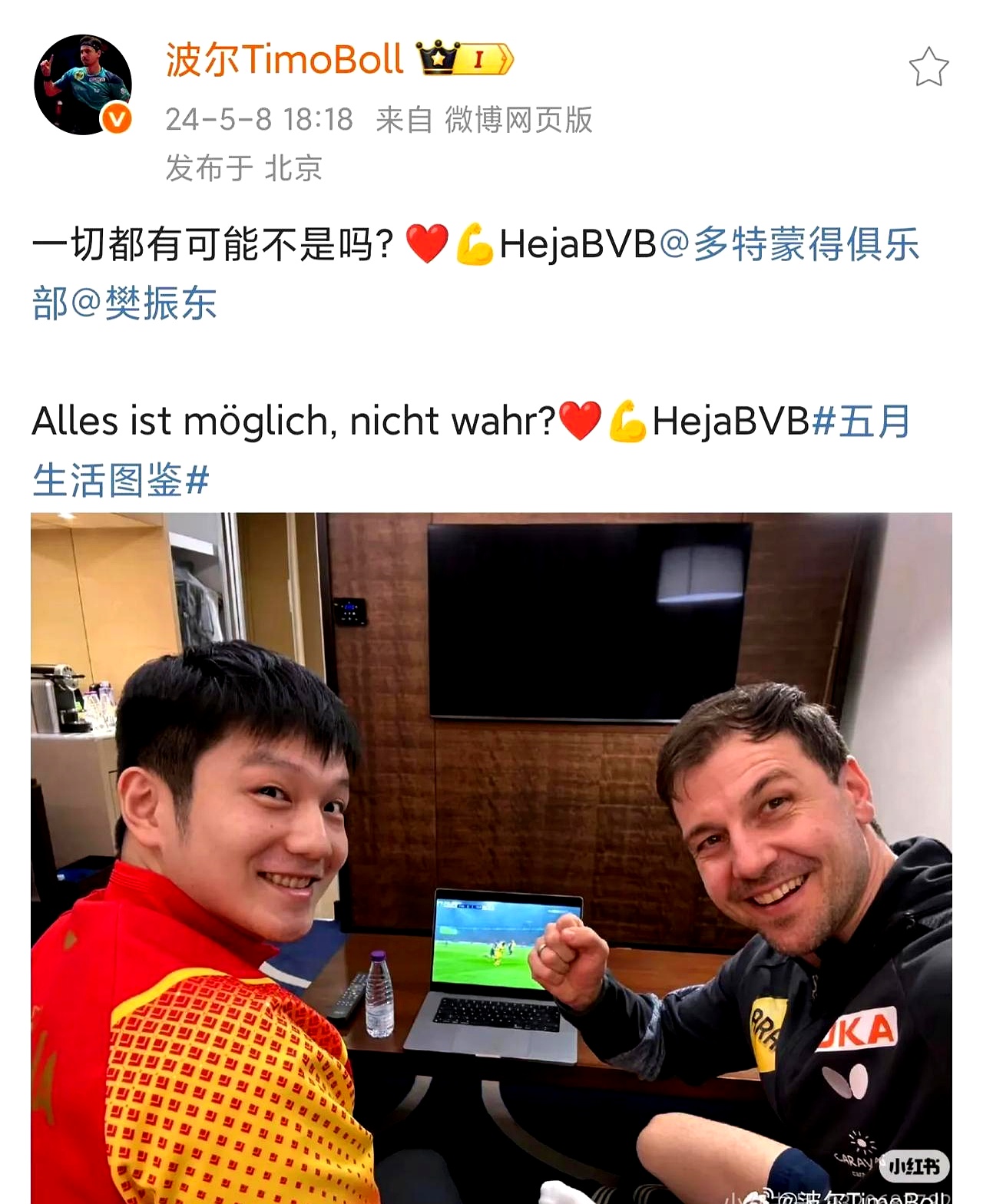 日本乒乓球队轻取法国乒乓球队，波尔高光表现的简单介绍