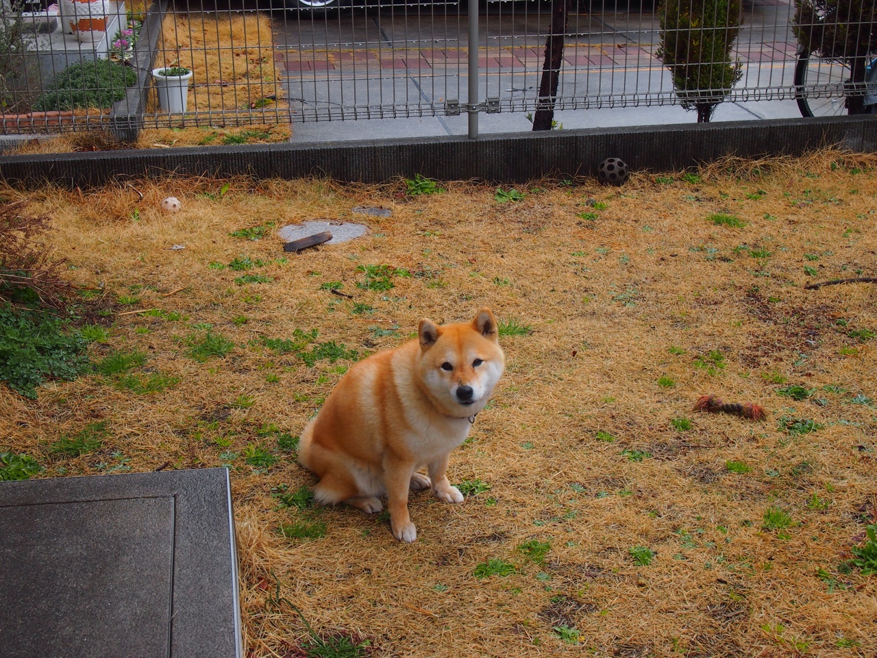 黑八奇迹再现?奇才抢七屠城记