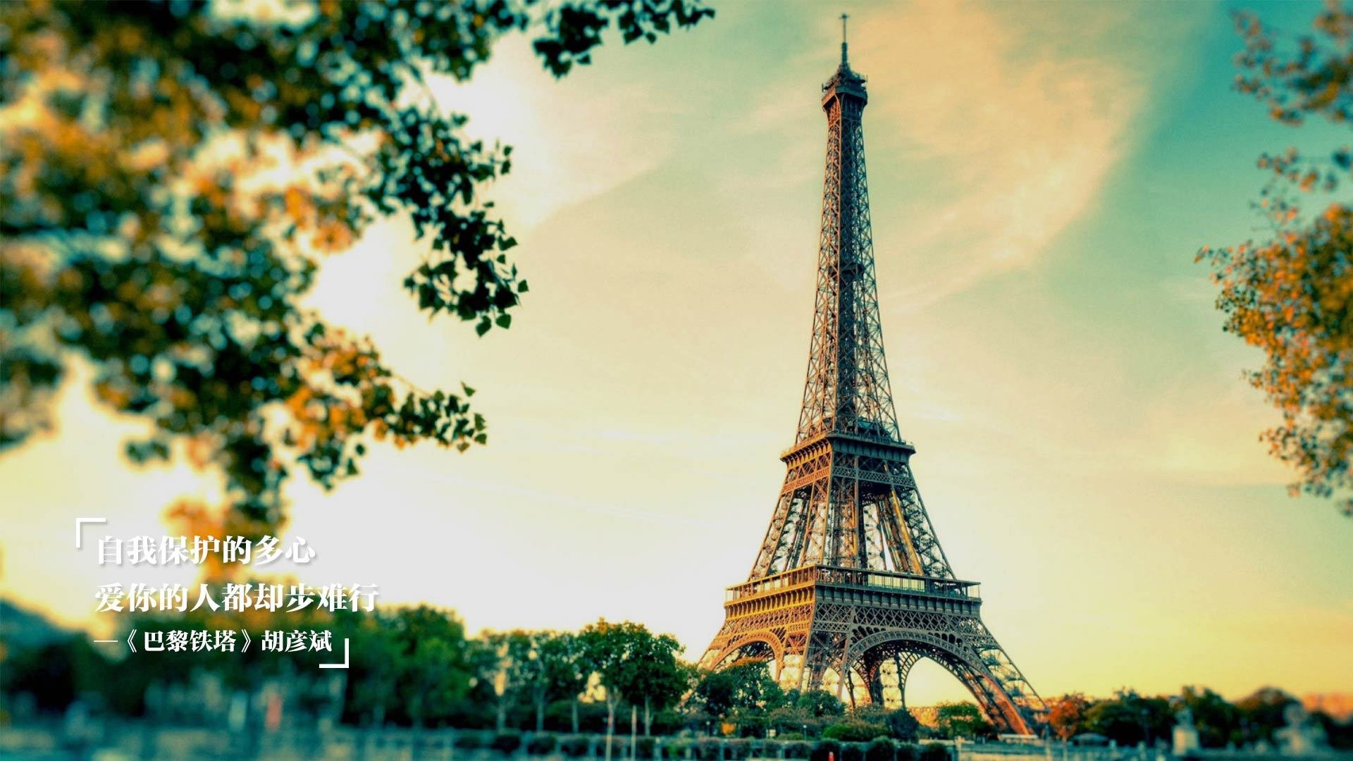 猎鹰的利爪与盾牌的交锋，范弗利特关键先生本色救主