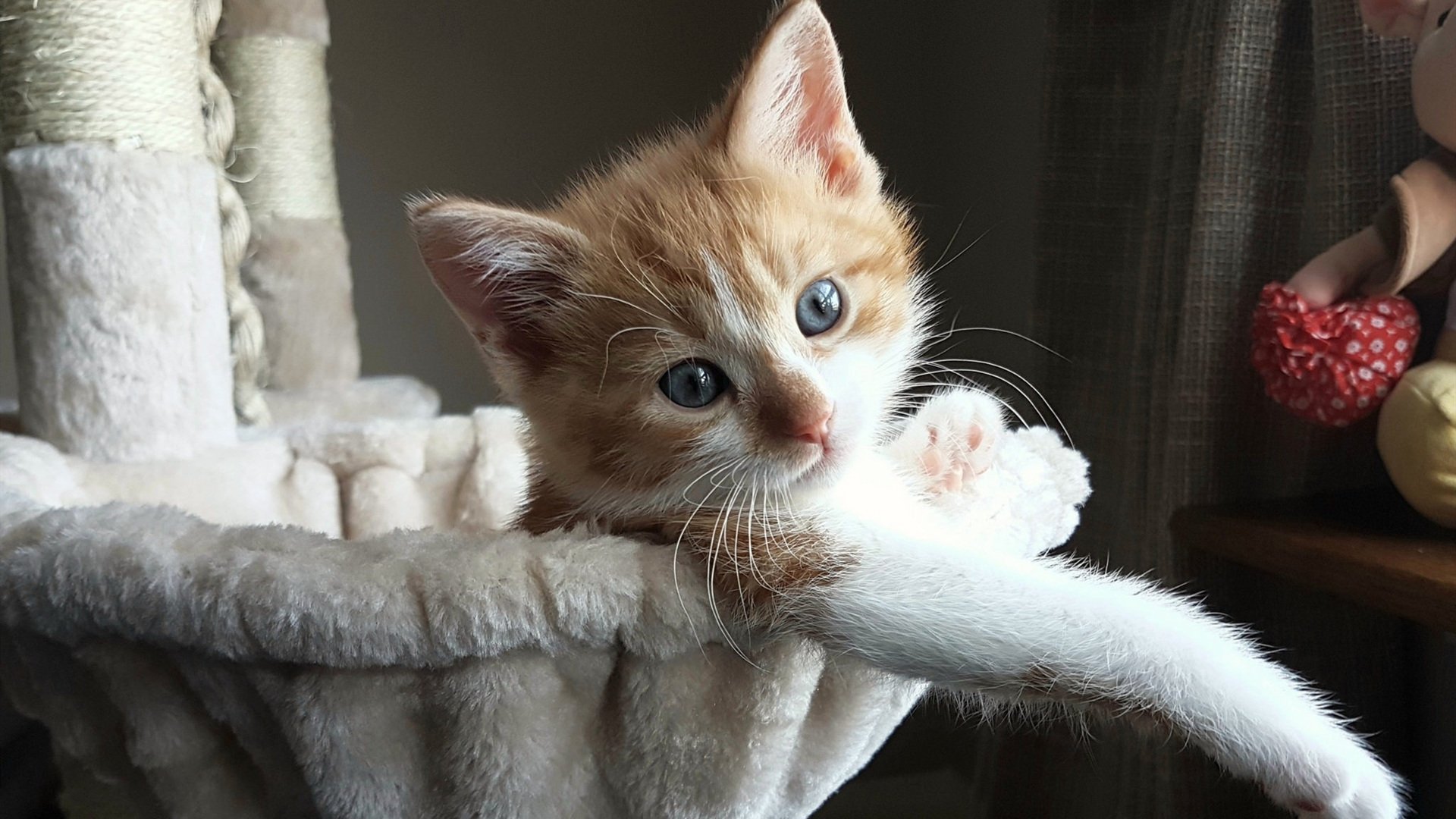 攻防统治力！格纳布里一己之力点燃赛场，土耳其力克洪都拉斯