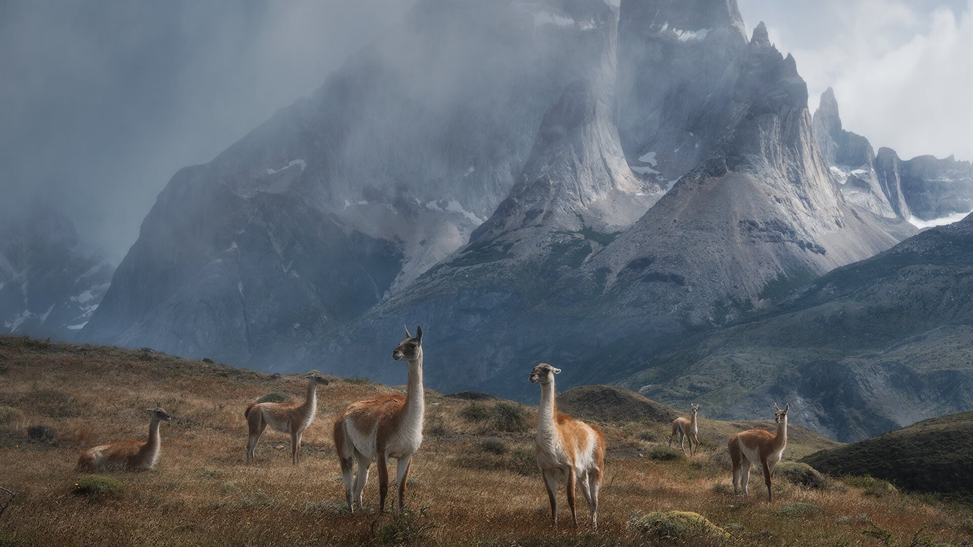 棋盘上的变数,当欧冠鏖战遇上骑士逆转,体育世界的不确定性如何主宰一切?