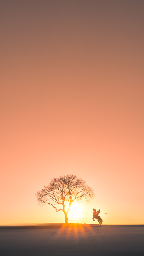 马克西教科书级表现引领广厦队横扫魔术