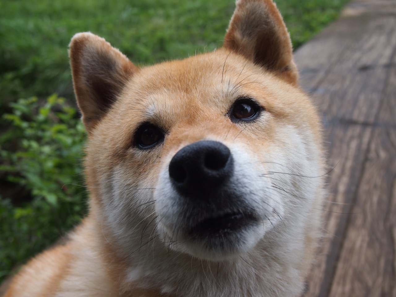 救赎与绝杀，库里再证王者本色，快船上演惊天逆转