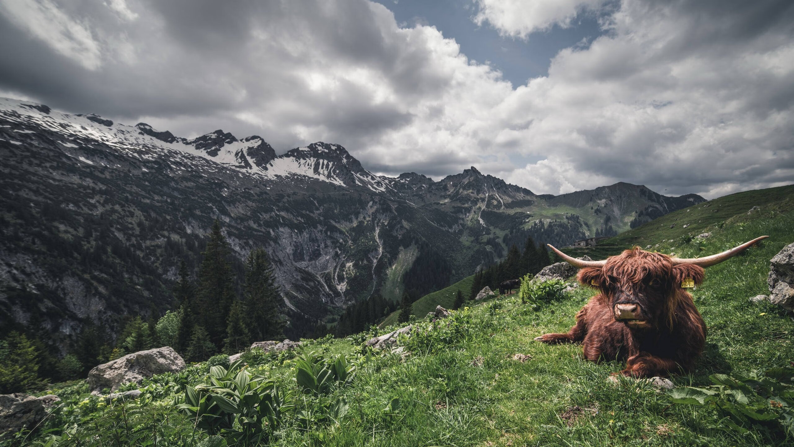 王权交接，当团队铁腕取代孤胆英雄